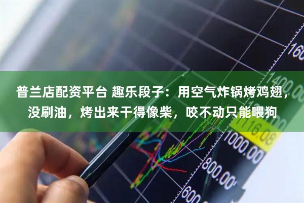 普兰店配资平台 趣乐段子：用空气炸锅烤鸡翅，没刷油，烤出来干得像柴，咬不动只能喂狗