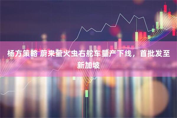 杨方策略 蔚来萤火虫右舵车量产下线，首批发至新加坡