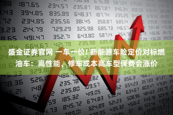 盛金证券官网 一车一价! 新能源车险定价对标燃油车：高性能、修车成本高车型保费会涨价